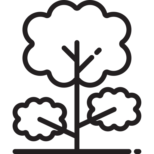 Tree icon