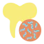 Tooth icon 64x64