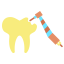 Caries icon 64x64