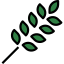 Leaf icon 64x64