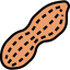 Peanut icon 64x64