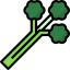 Celery icon 64x64
