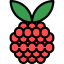 Raspberry 상 64x64