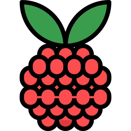 Raspberry icon