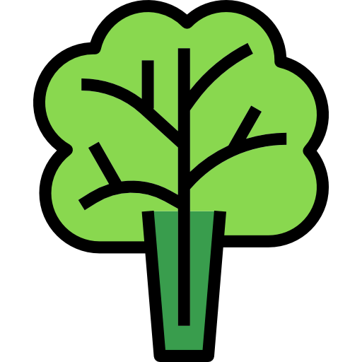 Lettuce icon