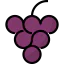 Grape icon 64x64