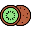 Kiwi icon 64x64
