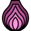 Onion icon 64x64
