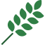Leaf icon 64x64