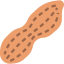 Peanut icon 64x64