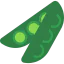 Bean icon 64x64