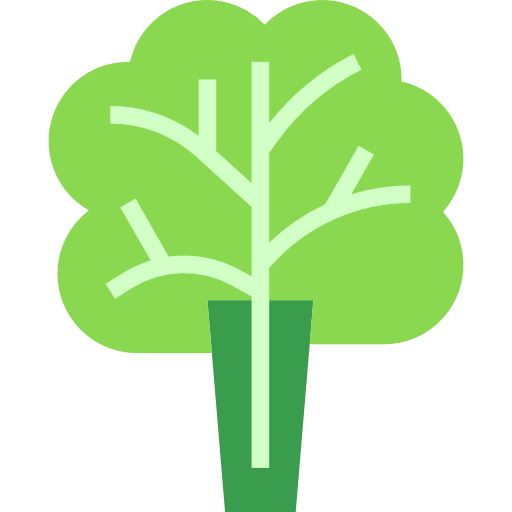 Lettuce icon