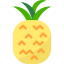 Pineapple icon 64x64