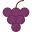 Grape icon 64x64