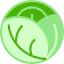 Cabbage icon 64x64