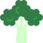 Broccoli icon 64x64