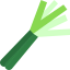 Leek icon 64x64