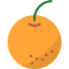 Orange icon 64x64