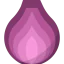 Onion icon 64x64