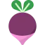 Radish icon 64x64