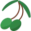 Olive icon 64x64