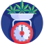 Weight scale icon 64x64
