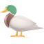 Duck icon 64x64