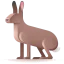 Hare icon 64x64