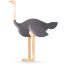 Ostrich icon 64x64