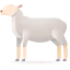 Sheep icon 64x64