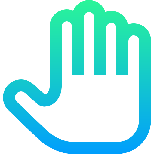 Privacy icon
