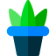 Растение иконка 64x64