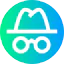 Spy icon 64x64
