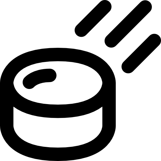 Puck icon