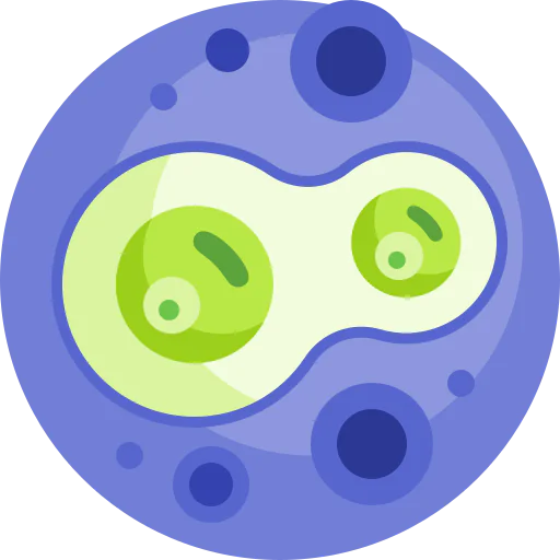 Mitosis icon