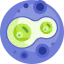 Mitosis icon 64x64