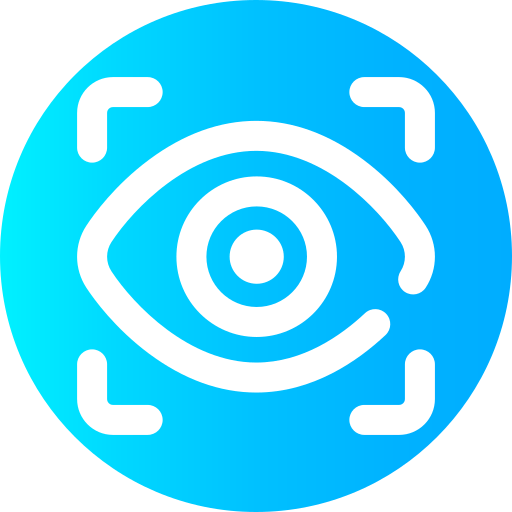 Vision icon