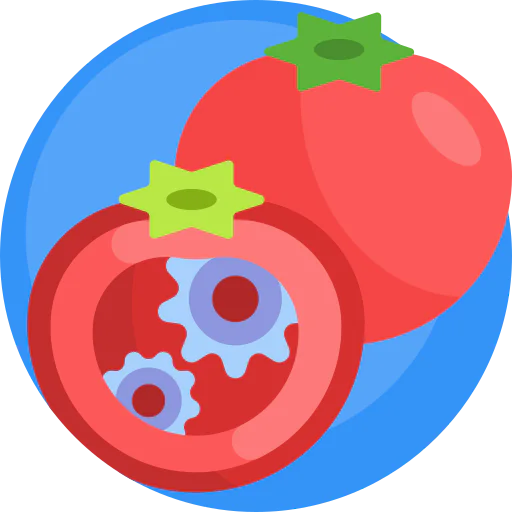 Gmo icon