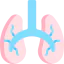 Lungs icône 64x64