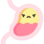 Stomach icône 64x64