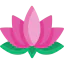 Lotus icon 64x64