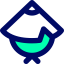 Kasa icon 64x64