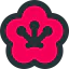 Sakura アイコン 64x64