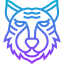 Tiger icon 64x64