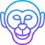 Monkey icon 64x64