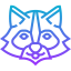 Racoon icon 64x64