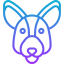 Kangaroo icon 64x64