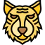 Tiger icon 64x64