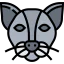 Cat icon 64x64