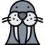 Walrus icon 64x64